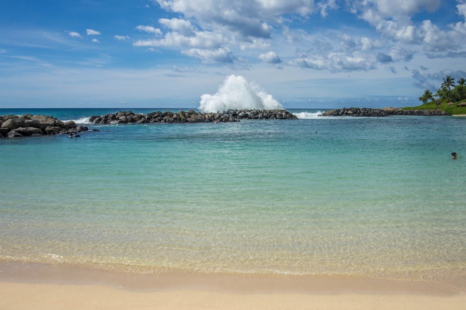 Paddle Boarding in Oahu